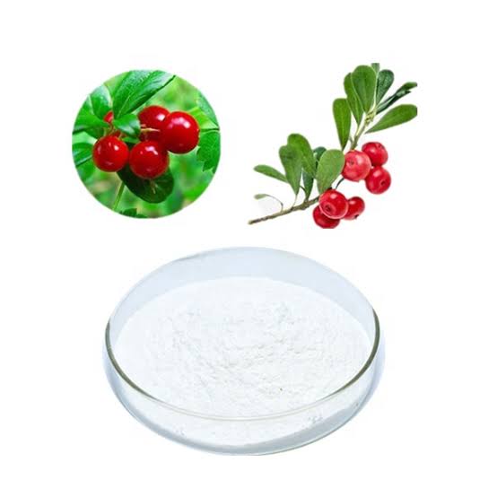 Bearberry extract powder